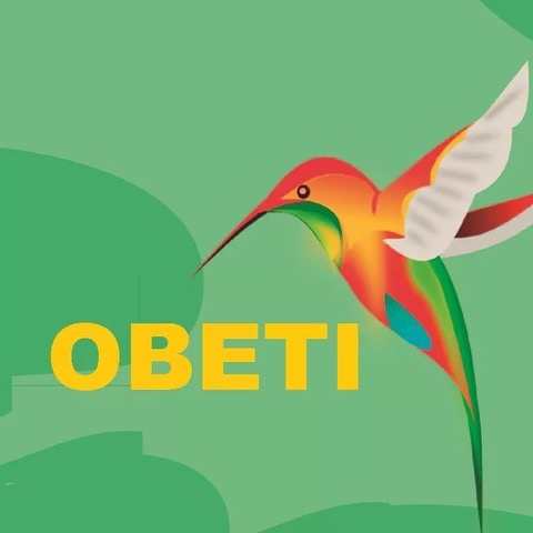 Logo fundación Obeti